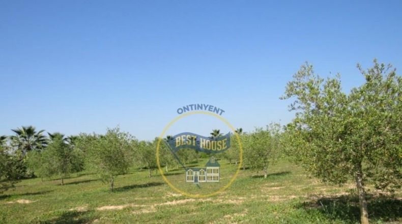 València - Agullent - 21360m2