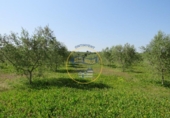 Terreno no urbanizable en venta en la España, Agullent, ref: TR117807 foto
