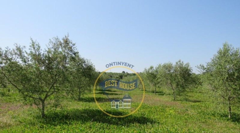 València - Agullent - 21360m2