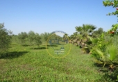 Terreno no urbanizable en venta en la España, Agullent, ref: TR117807 foto
