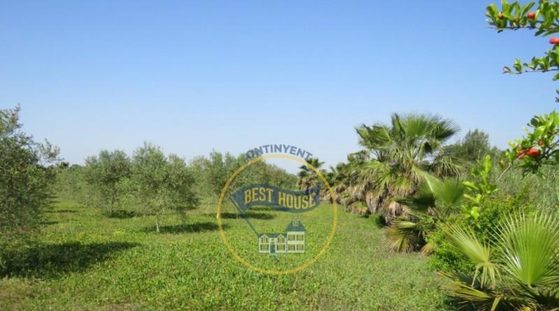 València - Agullent - 21360m2
