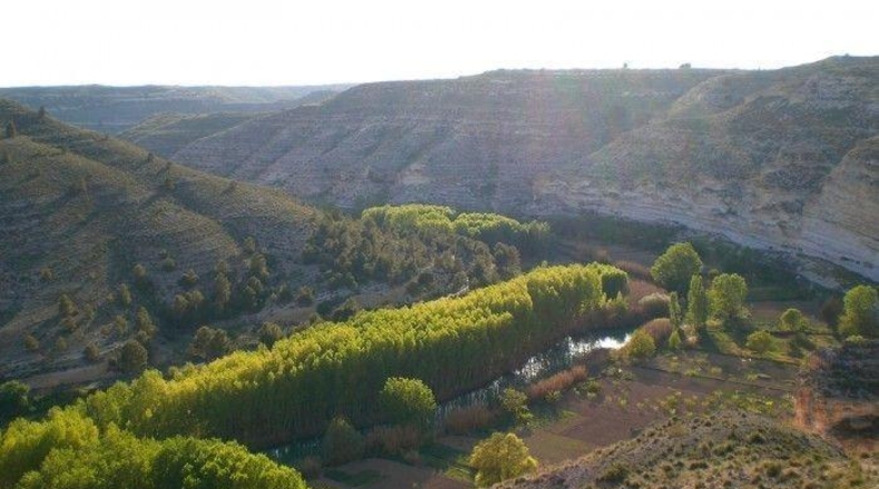 Albacete - La Recueja - 44112m2