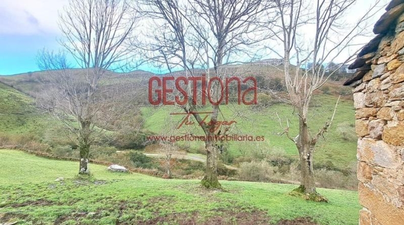 Cantabria - Veguilla - 9160m2