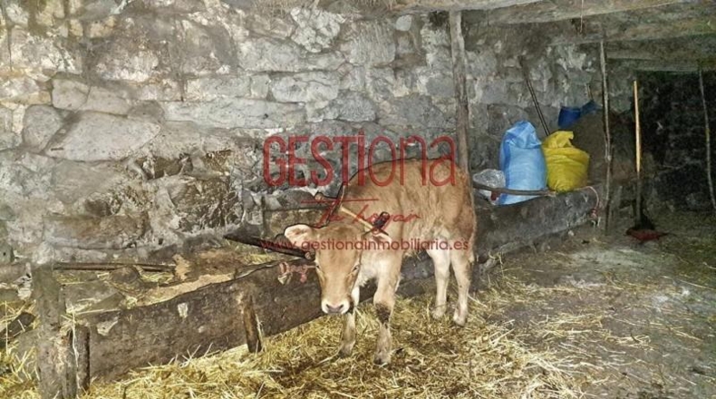 Cantabria - Veguilla - 9160m2