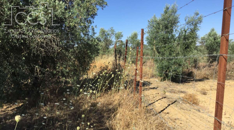 Huelva - Almonte - 20321m2