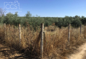 Terreno no urbanizable en venta en la España, Almonte, ref: TR132136 foto