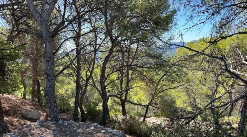 Valencia - Albalat de Tarongers - 132m2
