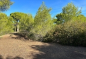 Casa con terreno en venta en la España, Albalat dels Tarongers, ref: TR301617 foto