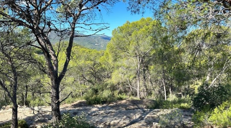 Valencia - Albalat de Tarongers - 132m2