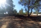 Casa con terreno en venta en la España, Alberic, ref: TR314686 foto