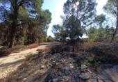 Casa con terreno en venta en la España, Alberic, ref: TR314686 foto