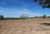 Terreno no urbanizable en venta en la España, Agullent, ref: TR130589 foto