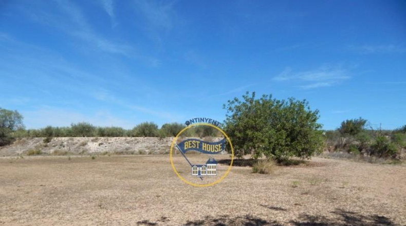 Valencia - Agullent - 17900m2