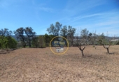 Terreno no urbanizable en venta en la España, Agullent, ref: TR130589 foto