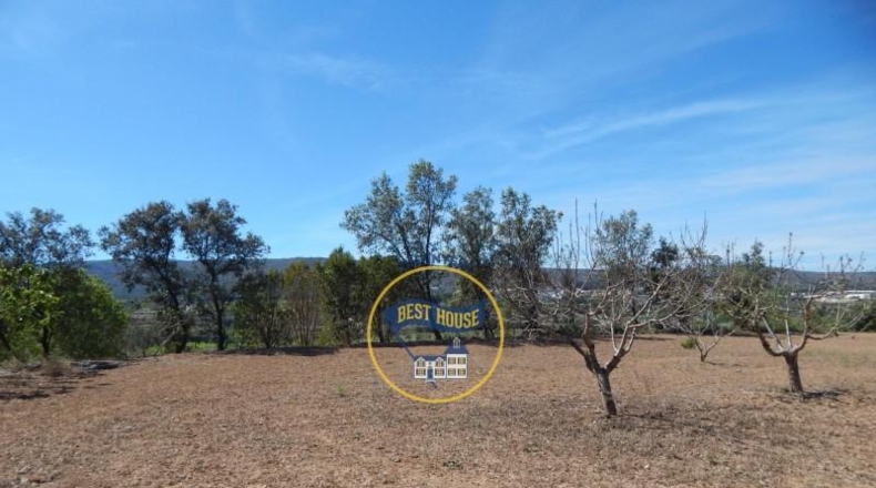 Valencia - Agullent - 17900m2