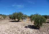 Terreno no urbanizable en venta en la España, Agullent, ref: TR130589 foto