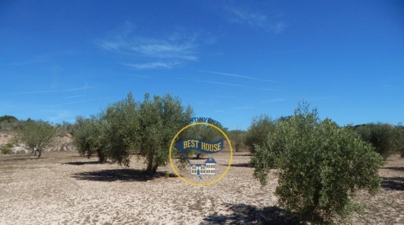 Valencia - Agullent - 17900m2