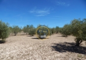 Terreno no urbanizable en venta en la España, Agullent, ref: TR130589 foto