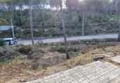 Suelo urbano en venta en la España, Olivella, ref: TR396791 foto