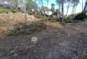 Foto 14