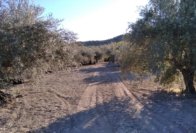 Calasparra 4200&nbsp;m²