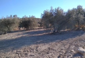 Calasparra 4200&nbsp;m²
