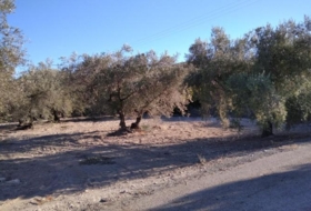 Calasparra 4200&nbsp;m²