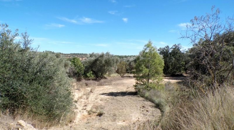 Teruel - Calaceite - 88978m2