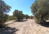 Xalet independent amb terreny en venda a la España, Calaceit, ref.: TR349468 foto