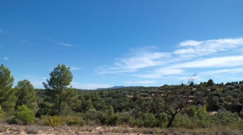 Teruel - Calaceite - 88978m2