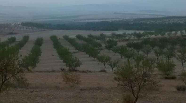 Murcia - Lorca - 41364m2