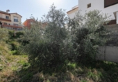 Terreno no urbanizable en venta en la España, Jun, ref: TR289461 foto
