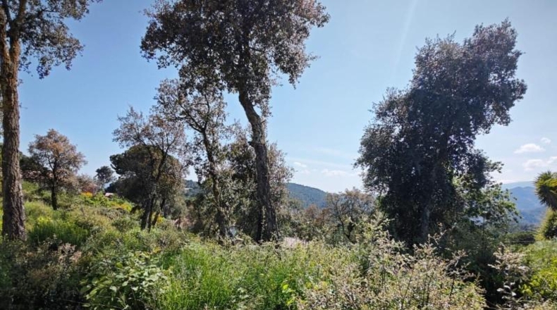 Gerona - Riudarenes - 1008m2