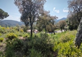 Casa amb terreny en venda a la España, Riudarenes, ref.: TR271580 foto