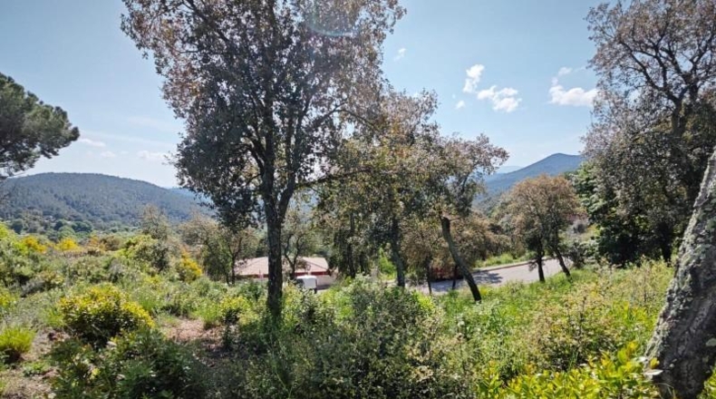 Gerona - Riudarenes - 1008m2