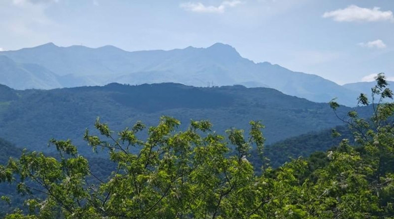 Gerona - Riudarenes - 1008m2