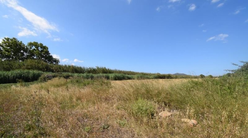 Islas Baleares - Muro - 19m2