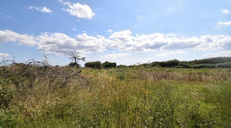 Islas Baleares - Muro - 19m2