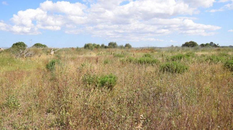 Islas Baleares - Muro - 19m2