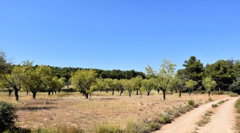 Teruel - Fuentespalda - 228298m2