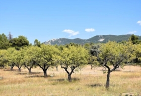 Fontdespatla 228298&nbsp;m² 