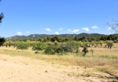 Xalet independent amb terreny en venda a la España, Fontdespatla, ref.: TR398335 foto