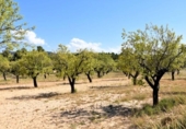 Xalet independent amb terreny en venda a la España, Fontdespatla, ref.: TR398335 foto