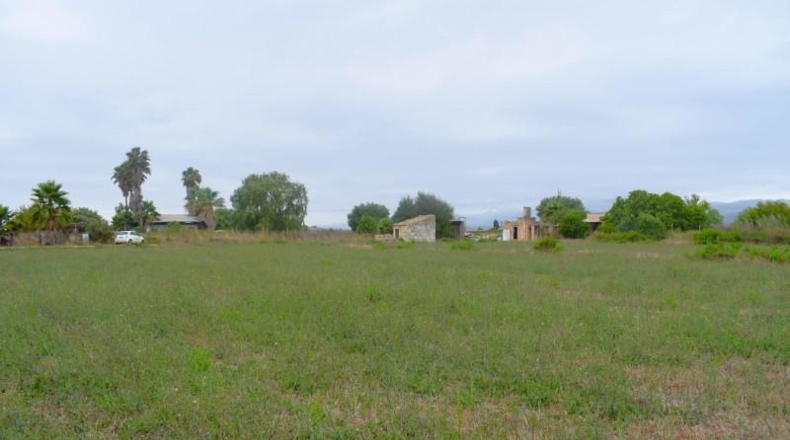 Balearic Islands - Muro - 5569m2
