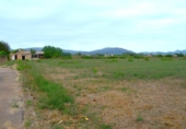 Terreno no urbanizable en venta en la España, Muro, ref: TR315046 foto