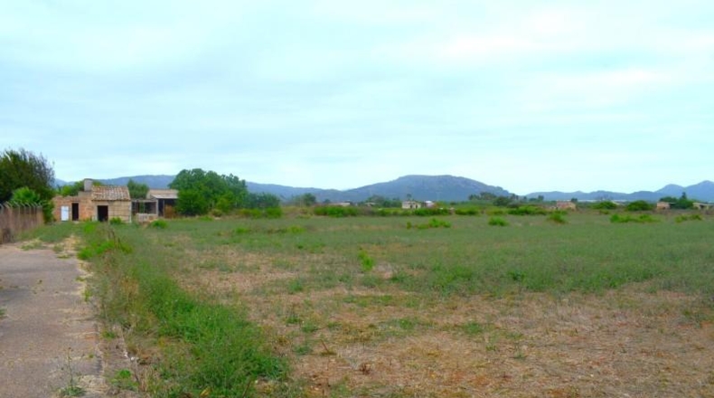 Balearic Islands - Muro - 5569m2