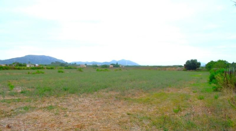 Balearic Islands - Muro - 5569m2