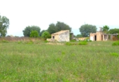 Terreno no urbanizable en venta en la España, Muro, ref: TR315046 foto