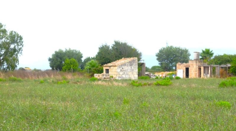 Balearic Islands - Muro - 5569m2