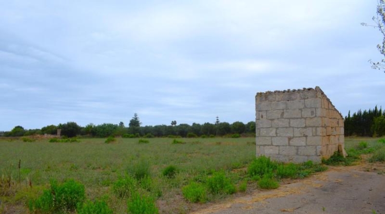 Balearic Islands - Muro - 5569m2